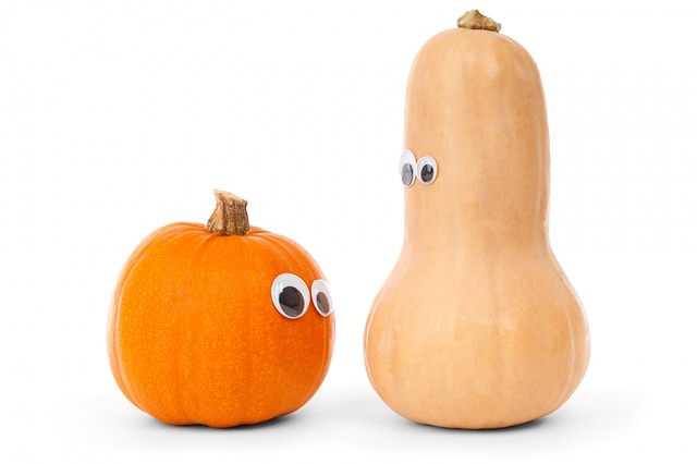 pumpkin-218238_640