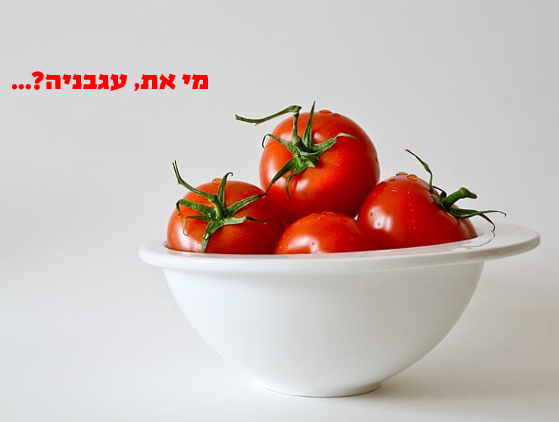 מי את עגבניה